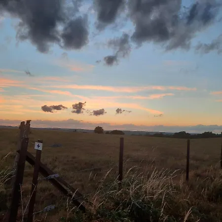 Chaletkrekelherberg Chalet