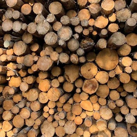 Chaletkrekelherberg シャレー